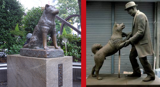 สุนัขยอดกตัญญู ฮาจิโกะ เจอเจ้าของจนได้ หลังจากไม่เจอกันมากว่า 90 ปี