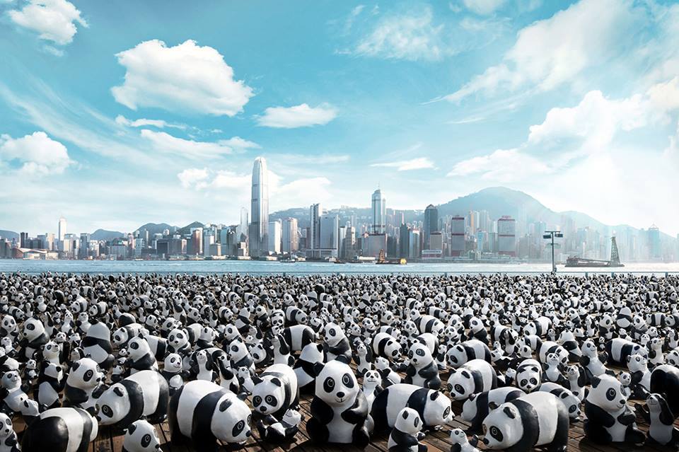 ตื่นตากับนิทรรศการ 1600 Panda World Tour ที่ ฮ่องกง
