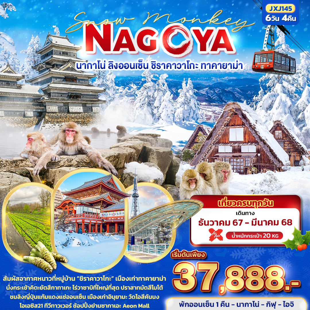 นากาโน่ ลิงออนเซ็น ชิราคาวาโกะ ทาคายาม่า 6วัน 4คืน Snow Monkey NAGOYA