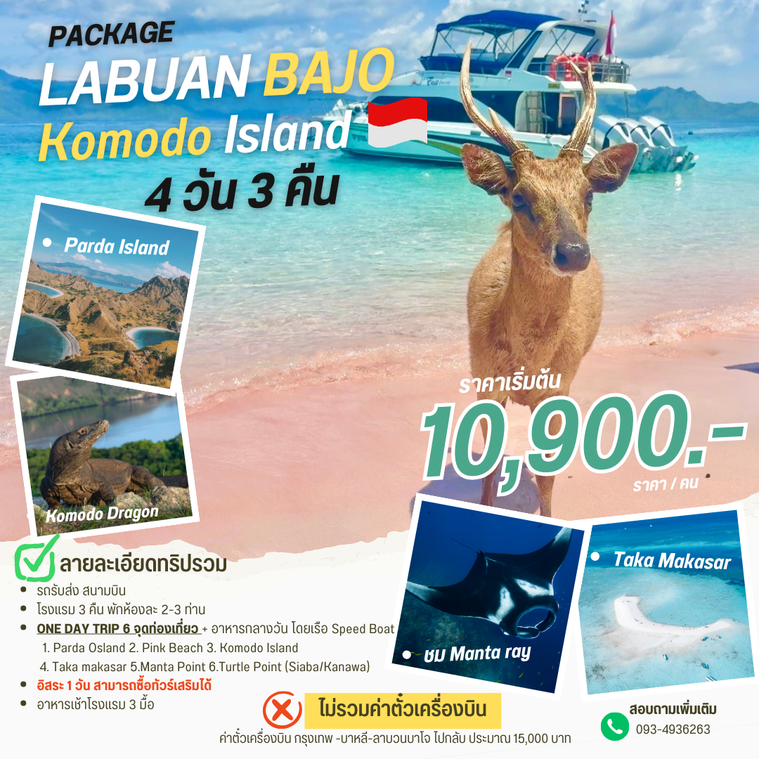 Komodo Island แพ็คเกจ 4 วัน 3 คืน Komodo Island แพ็คเกจ 4 วัน 3 คืน